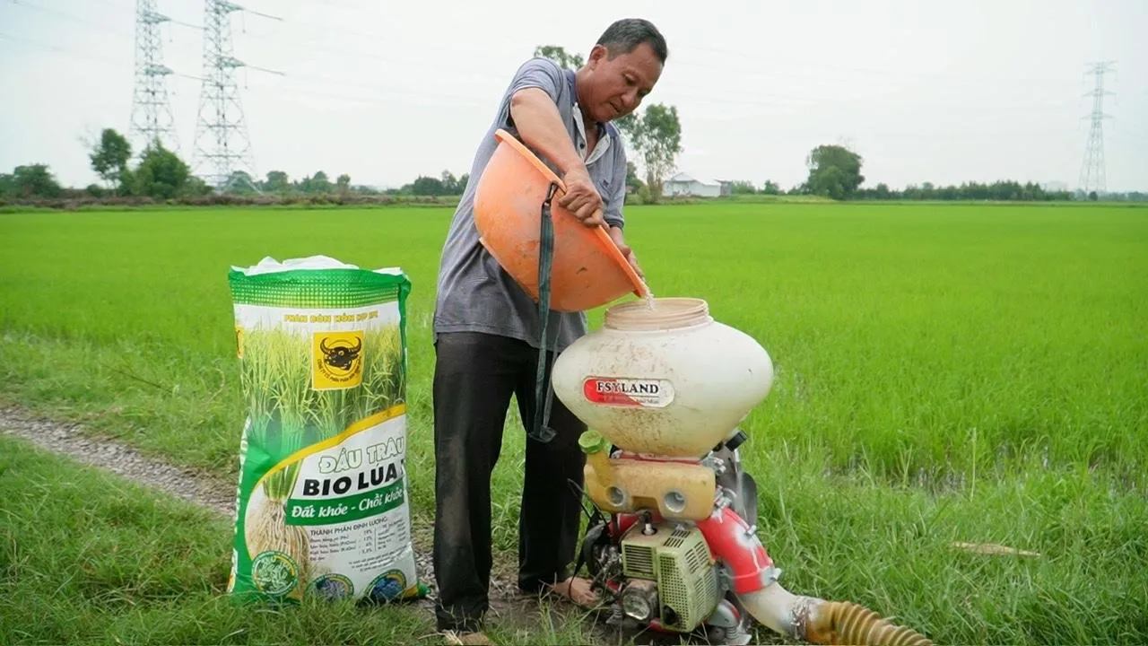 Khi đất được ‘hồi sinh’ thì cây lúa tự khắc khỏe mạnh