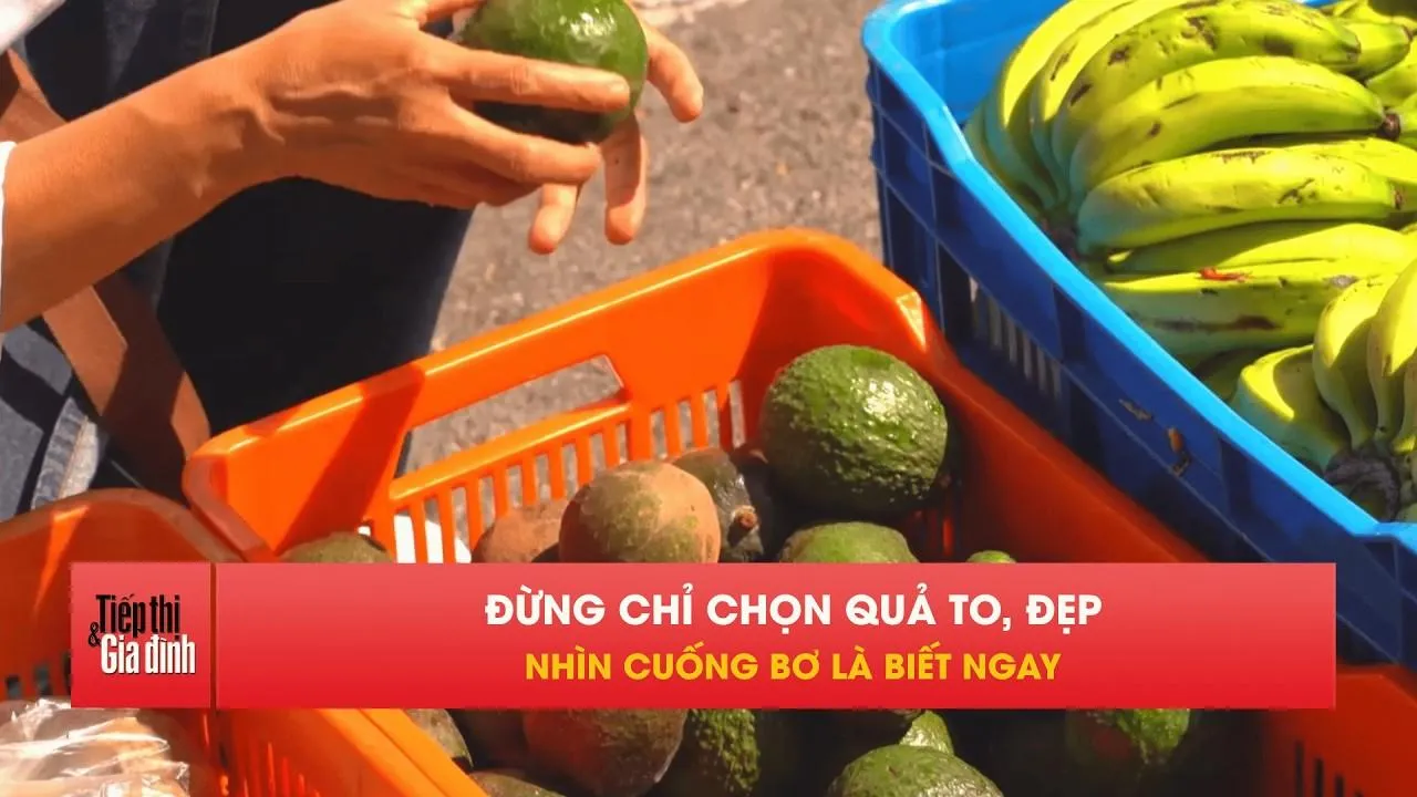 Bơ vào mùa, muốn biết có ngâm hóa chất hãy nhìn ngay điểm này
