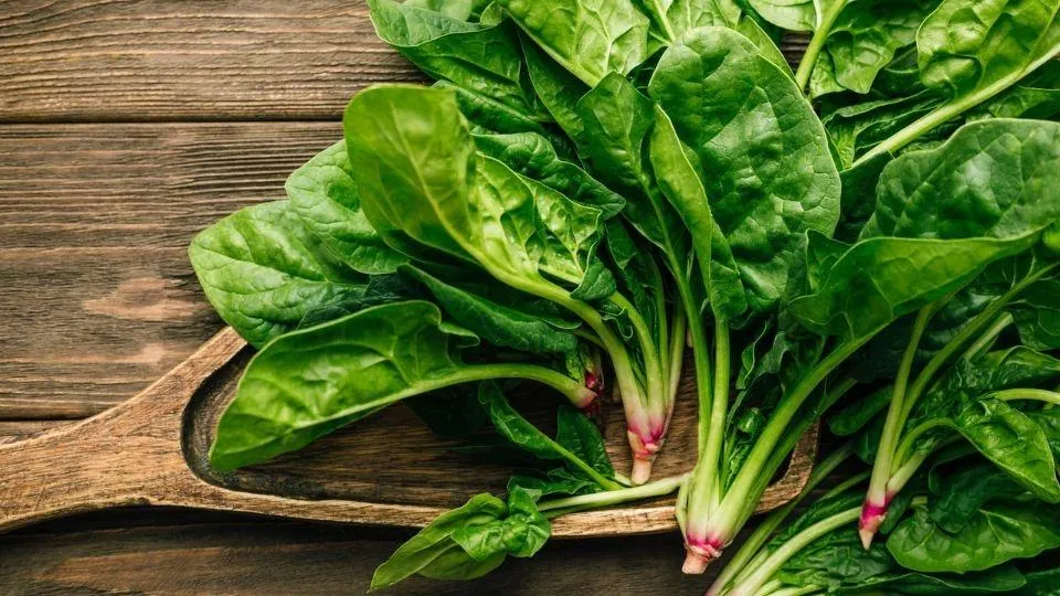 Mùa hè đừng bỏ qua 4 loại rau này: Bổ sung nước, nhiều chất xơ, tốt cho đường ruột