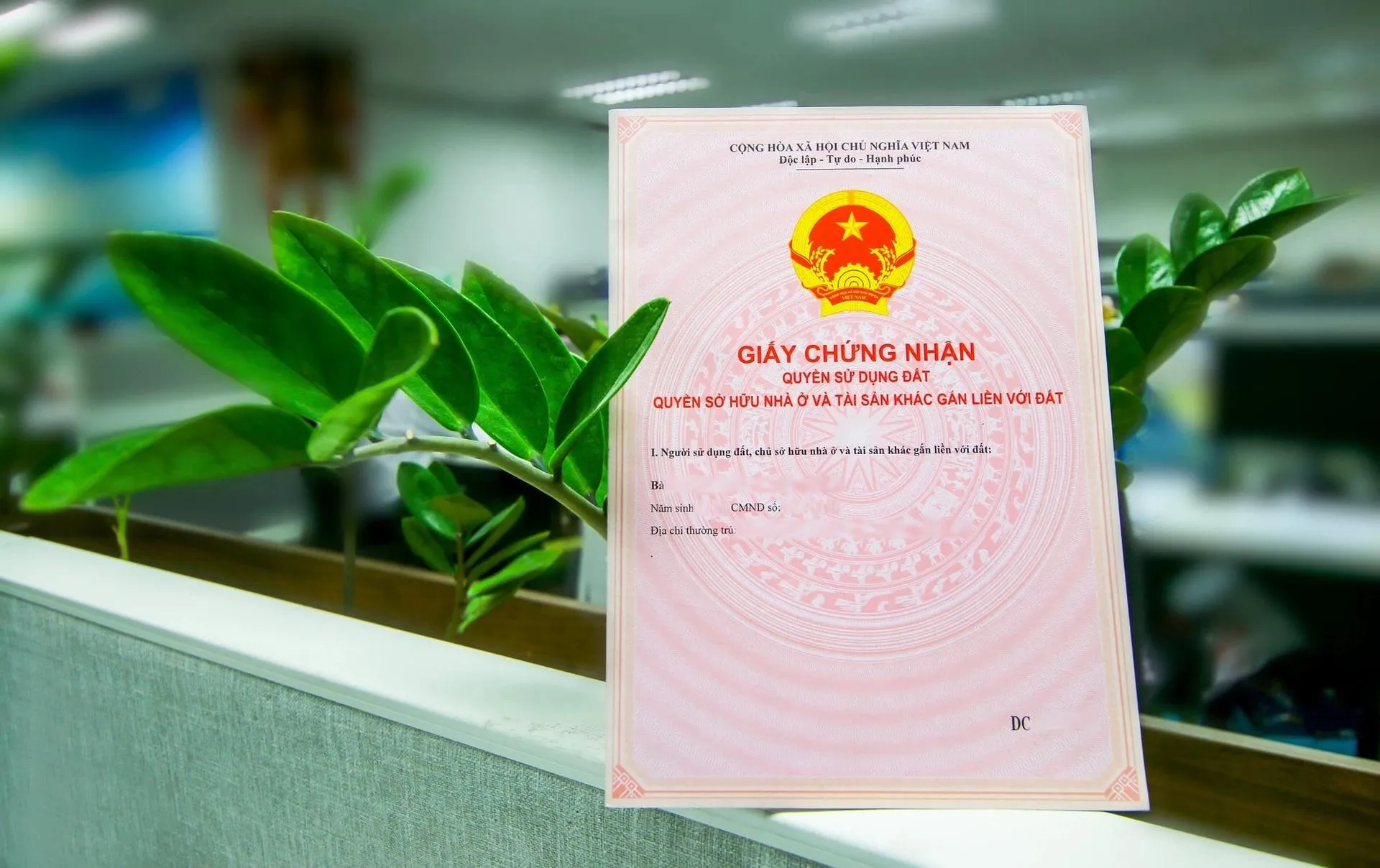Từ 31/8, người dân sở hữu đất đai cần chú ý: Chậm làm thủ tục này có thể bị xử phạt