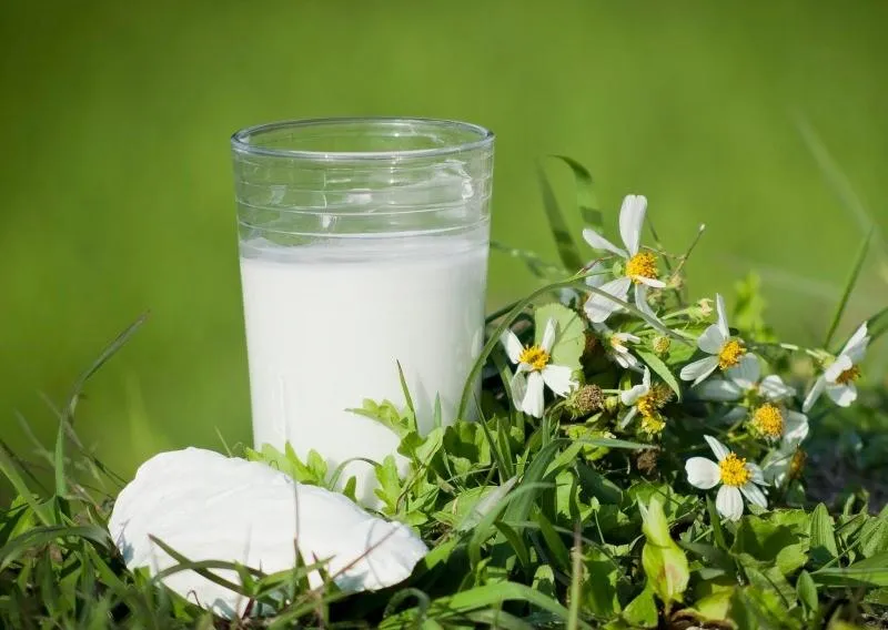 Bột sắn dây nên pha với nước nóng hay nước lạnh? Câu trả lời khiến nhiều người bất ngờ