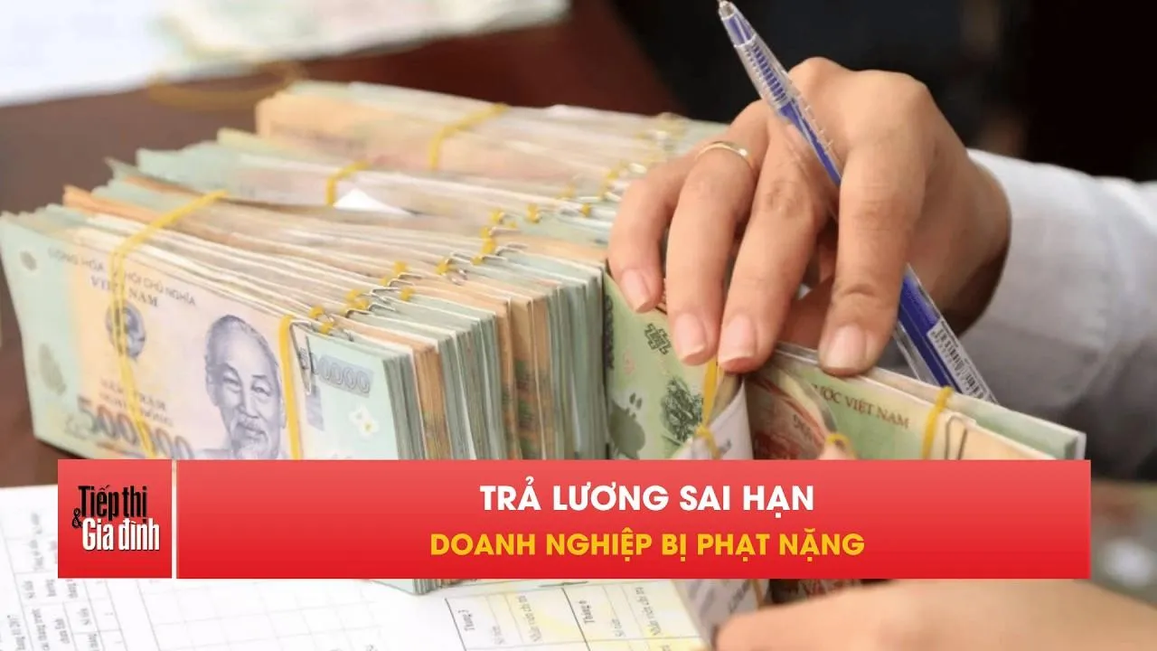 Từ tháng 9/2026, doanh nghiệp chậm lương có thể bị phạt 100 triệu