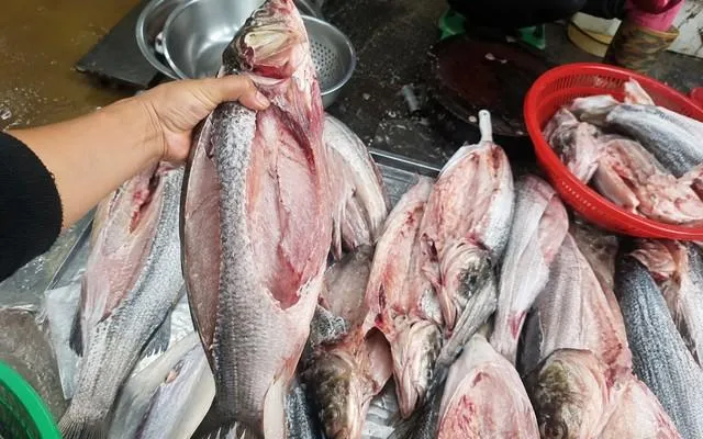 Có nên mua cá đã mổ sẵn? Chỉ cần kiểm tra 4 dấu hiệu này là biết cá còn tươi hay không