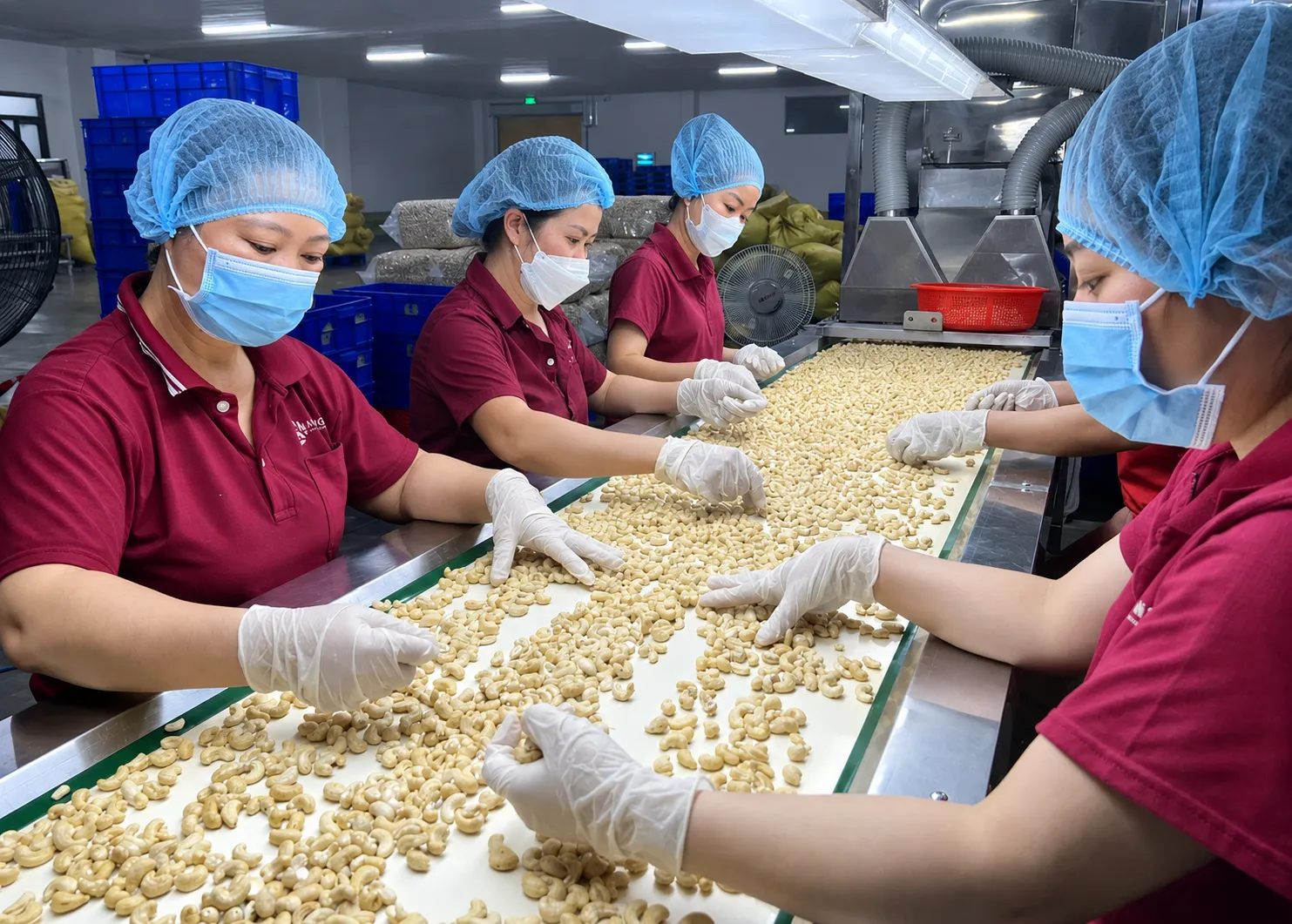 Hoa Kỳ siết kiểm soát chuỗi cung ứng: Hàng Việt trước áp lực thuế 12,5% và bài toán minh bạch nguồn gốc