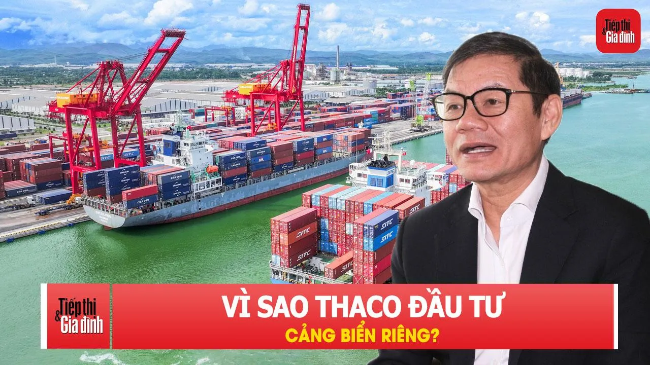 Vì sao tập đoàn THACO đầu tư cảng biển riêng?