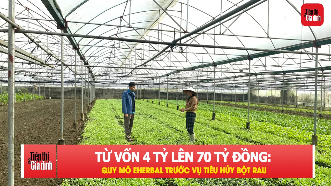 Quy mô doanh nghiệp sản xuất bột rau bị tiêu hủy gây chú ý