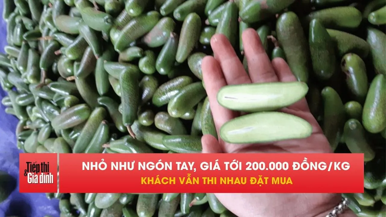 Bơ tí hon không hạt giá cao gấp 5 vẫn cháy hàng