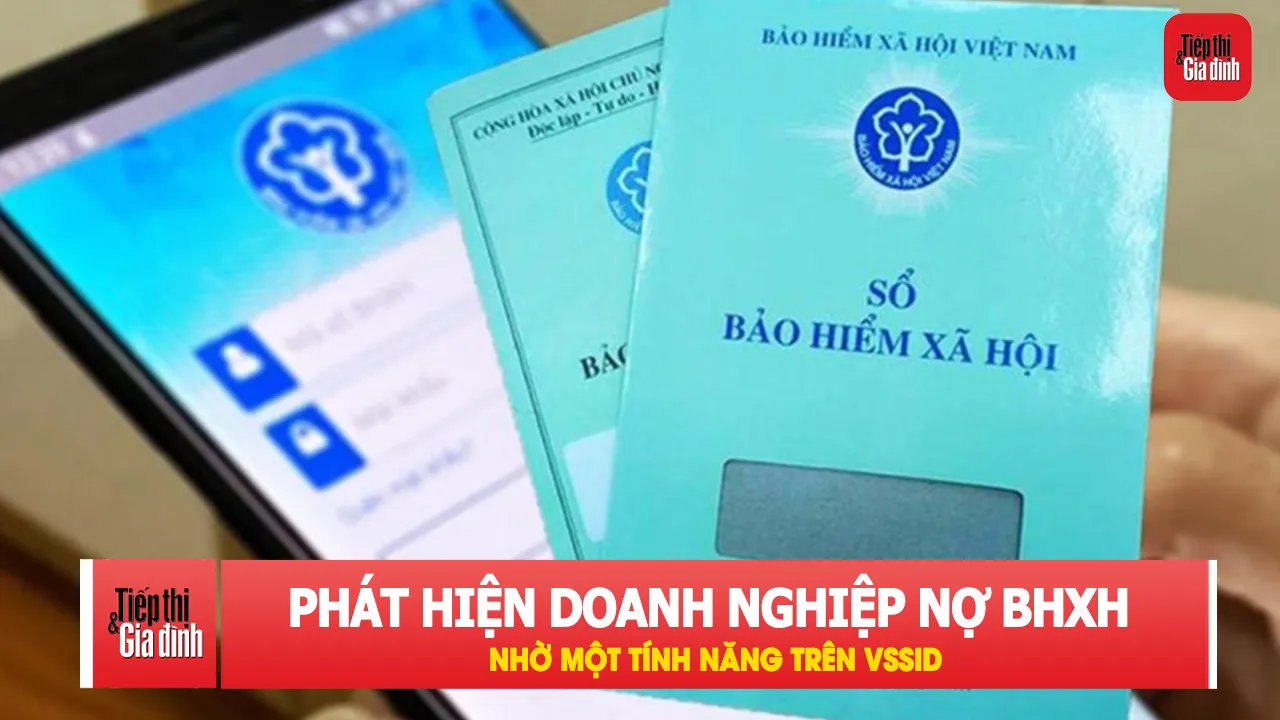 Dùng VssID kiểm tra ngay mức lương đóng BHXH của bạn