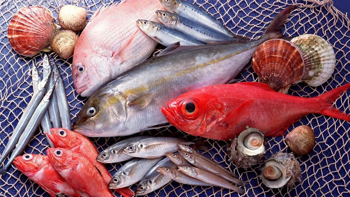 Đi chợ mua cá, nhiều người chỉ nhìn kích cỡ mà bỏ qua 5 dấu hiệu quan trọng này