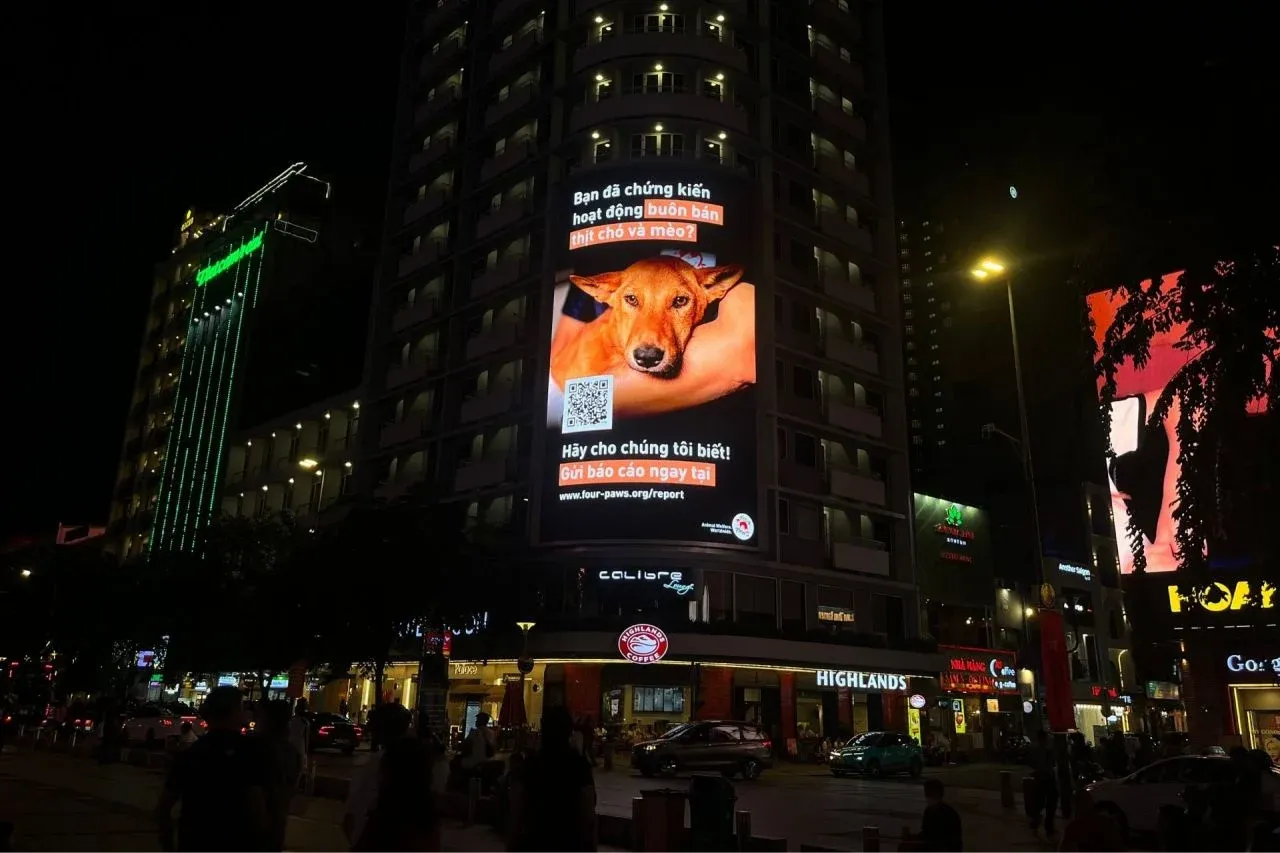 Quảng cáo ngoài trời trong kỷ nguyên phát triển bền vững: Khi mỗi billboard đều có thể tạo ra tác động