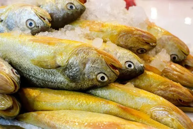 6 loại cá biển giá mềm nhưng thịt thơm béo, đi chợ gặp đừng vội bỏ qua