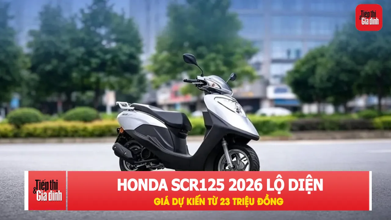Honda SCR125 2026 có gì khi giá dự kiến chỉ từ 23 triệu đồng?