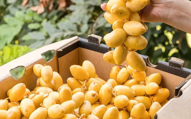 5 nhóm người nên ăn chà là thường xuyên, vừa ngon vừa bổ sung nhiều dưỡng chất