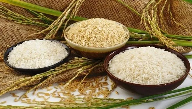 Gạo nếp hay gạo tẻ giàu dinh dưỡng, tốt hơn cho sức khỏe? Trước khi mua cần biết điều này