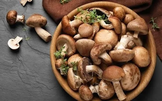 4 loại nấm vừa ngon vừa bổ, thích hợp đưa vào thực đơn khi trời chuyển thu