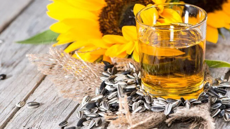 Vì sao dầu hướng dương ngày càng xuất hiện nhiều trong căn bếp gia đình?