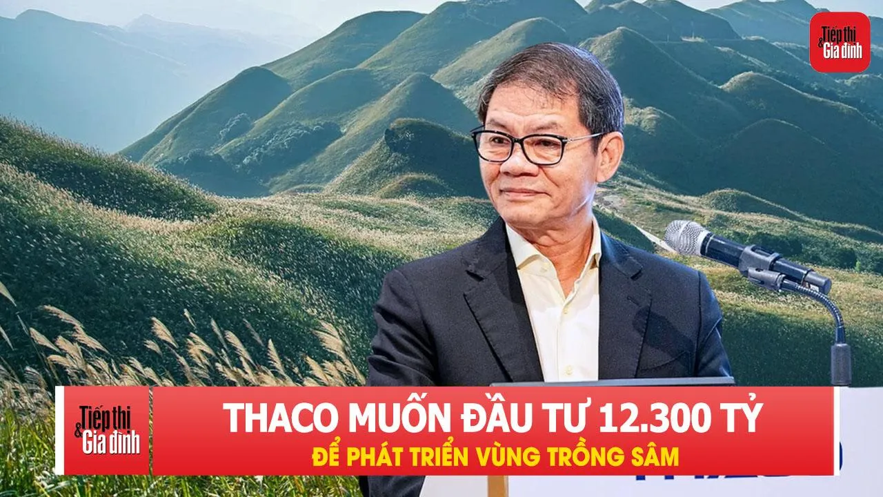 THACO của ông Trần Bá Dương muốn rót 12.300 tỷ đồng để trồng sâm