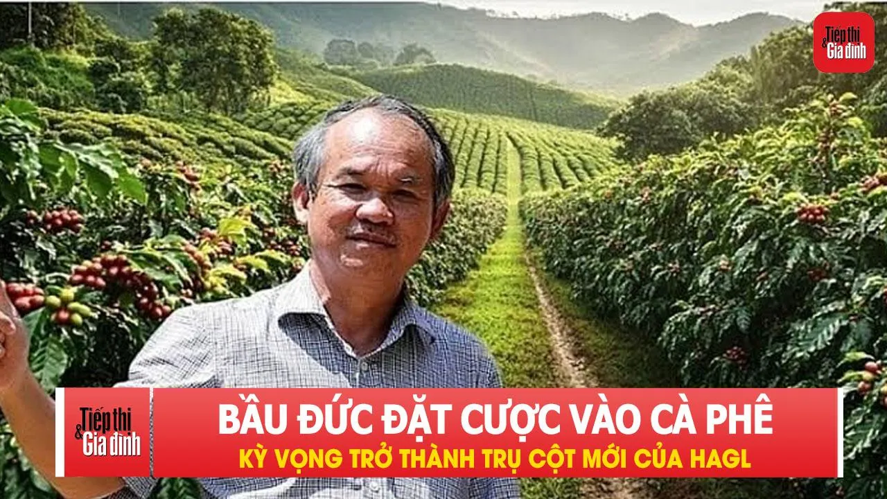 Bầu Đức đặt cược vào cà phê, kỳ vọng trở thành trụ cột mới của HAGL