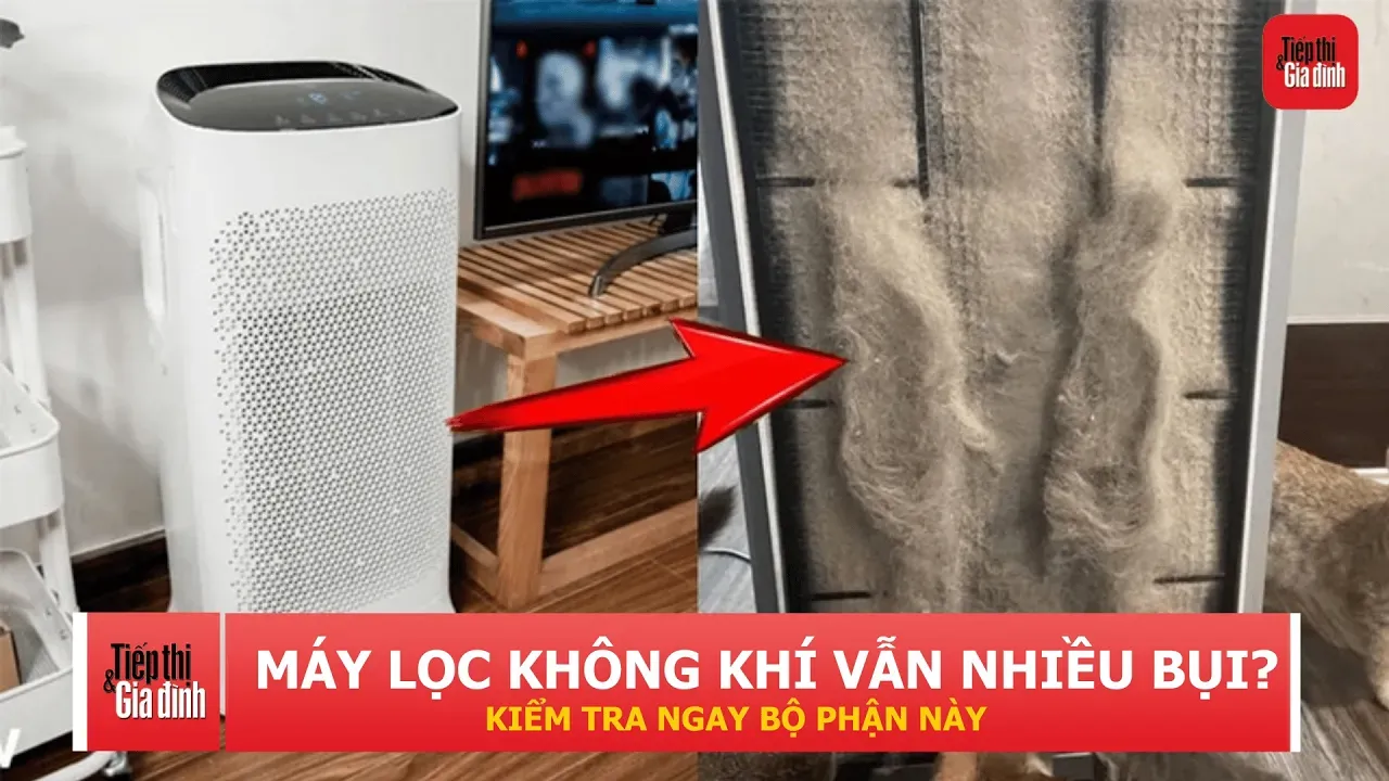 Máy lọc không khí chạy cả ngày vẫn đầy bụi? Thủ phạm có thể nằm ngay bên trong máy