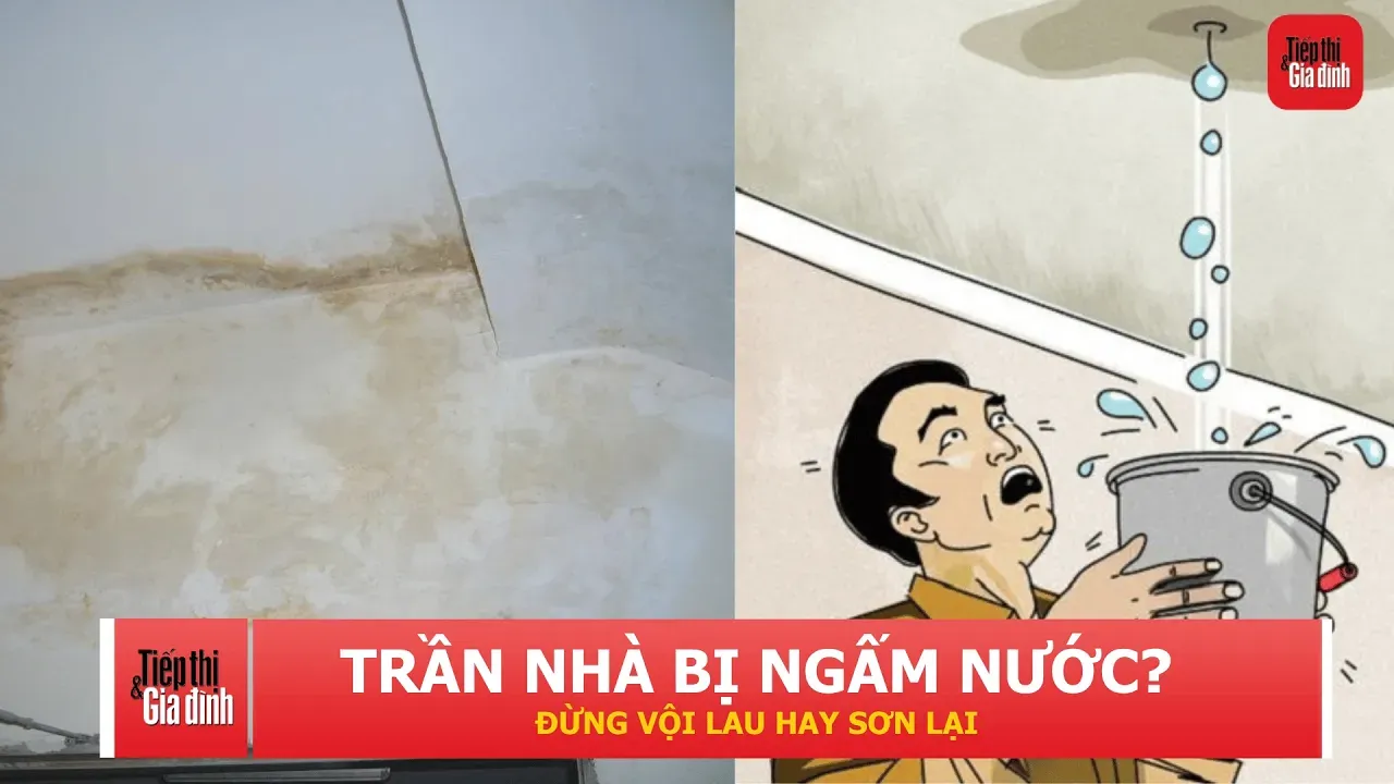 Trần nhà ngấm nước, đừng vội sơn lại: Việc đầu tiên cần làm để tránh nguy hiểm