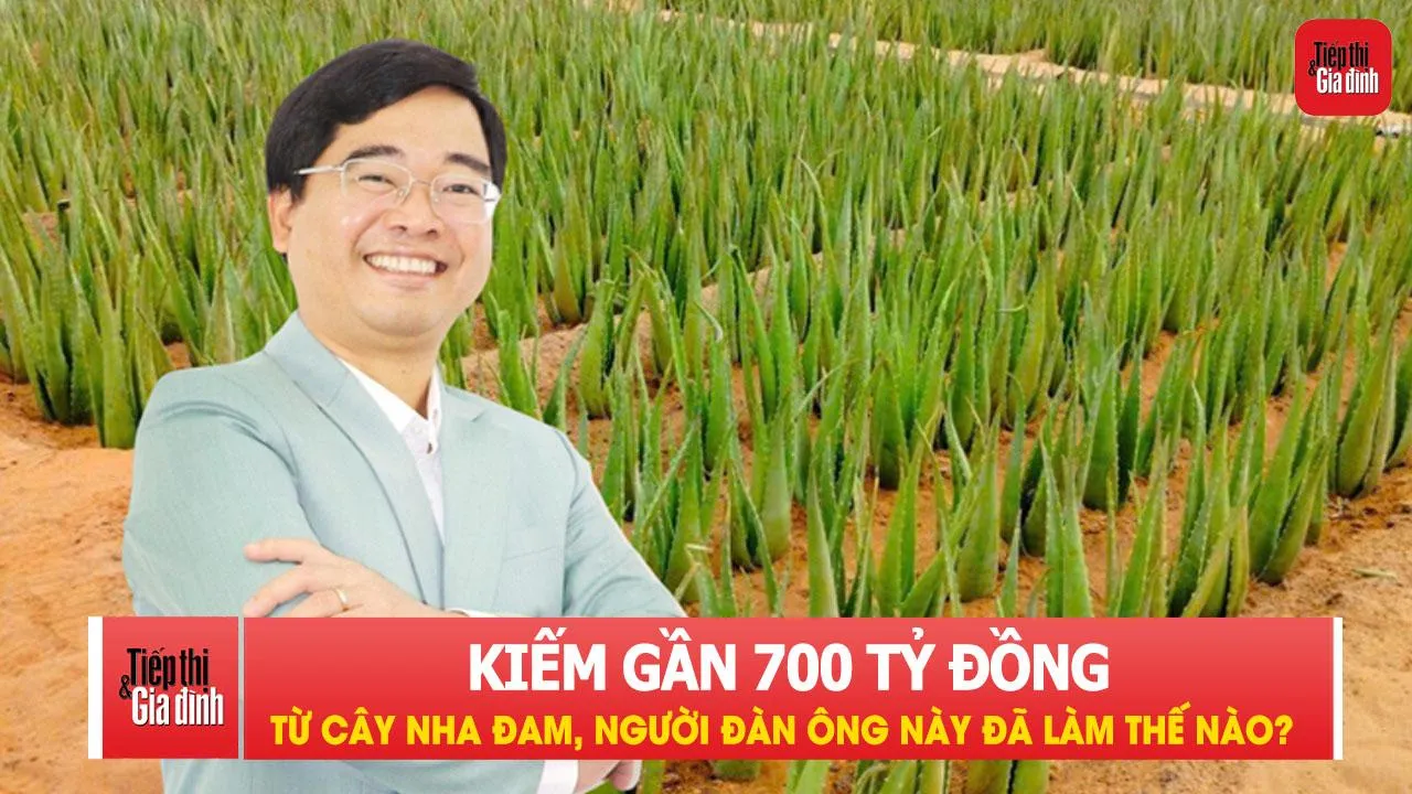 Người đàn ông ở Đồng Nai kiếm gần 700 tỷ đồng từ cây nha đam