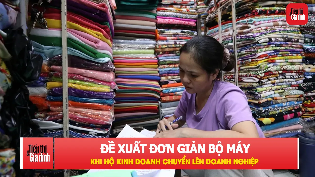 Doanh nghiệp siêu nhỏ có thể không cần chủ tịch, kế toán trưởng
