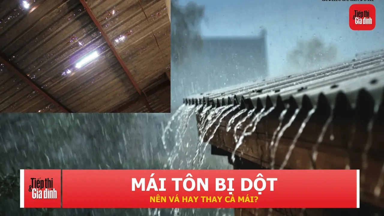 Mái tôn bị dột: Khi nào nên sửa, khi nào cần thay mới?