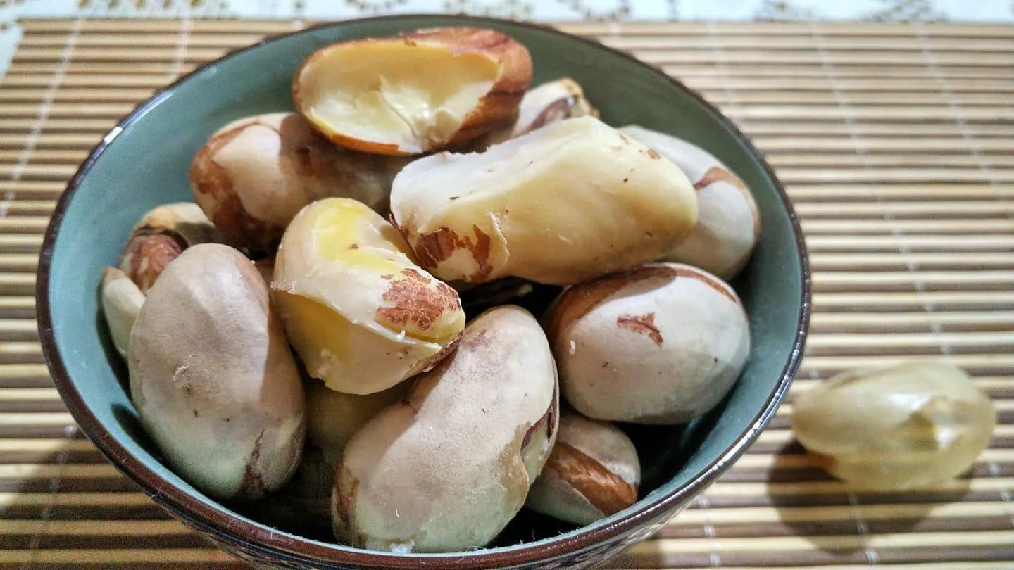 3 loại hạt thường bị vứt bỏ nhưng lại giàu chất xơ, đặc biệt tốt cho tiêu hóa