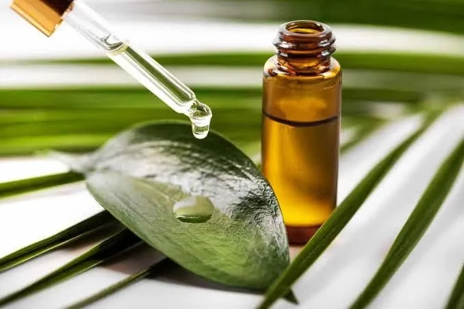 Không phải loại dầu tự nhiên nào cũng hợp với da, 7 lựa chọn đáng cân nhắc khi vào thu