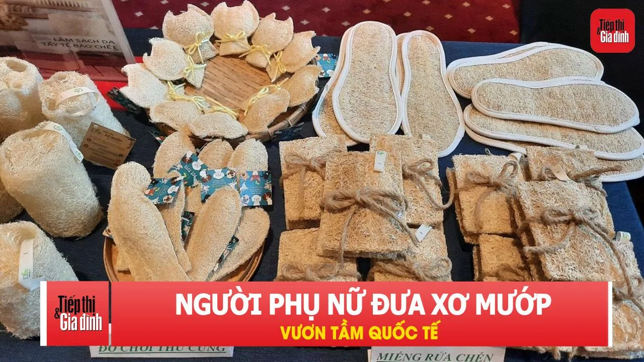 Xơ mướp Việt “lên đời”: Từ đồ chà nồi thành sản phẩm xuất khẩu