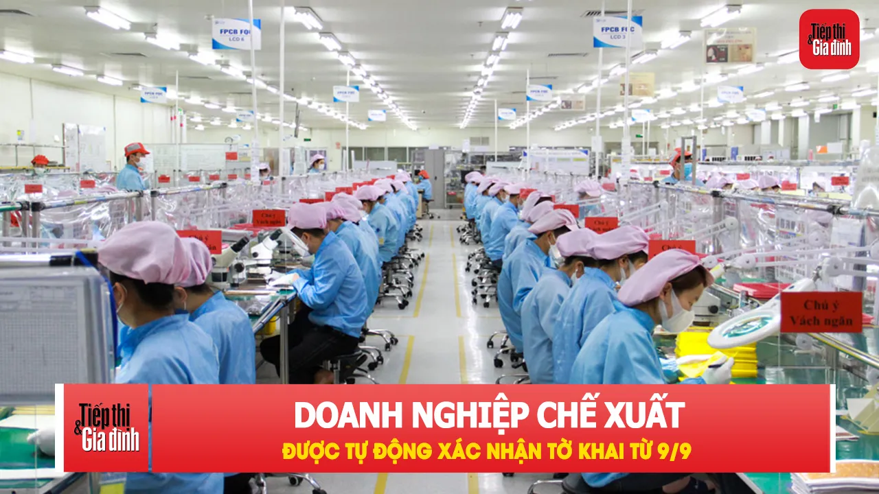 Từ 9/9 tự động xác nhận tờ khai cho doanh nghiệp chế xuất.