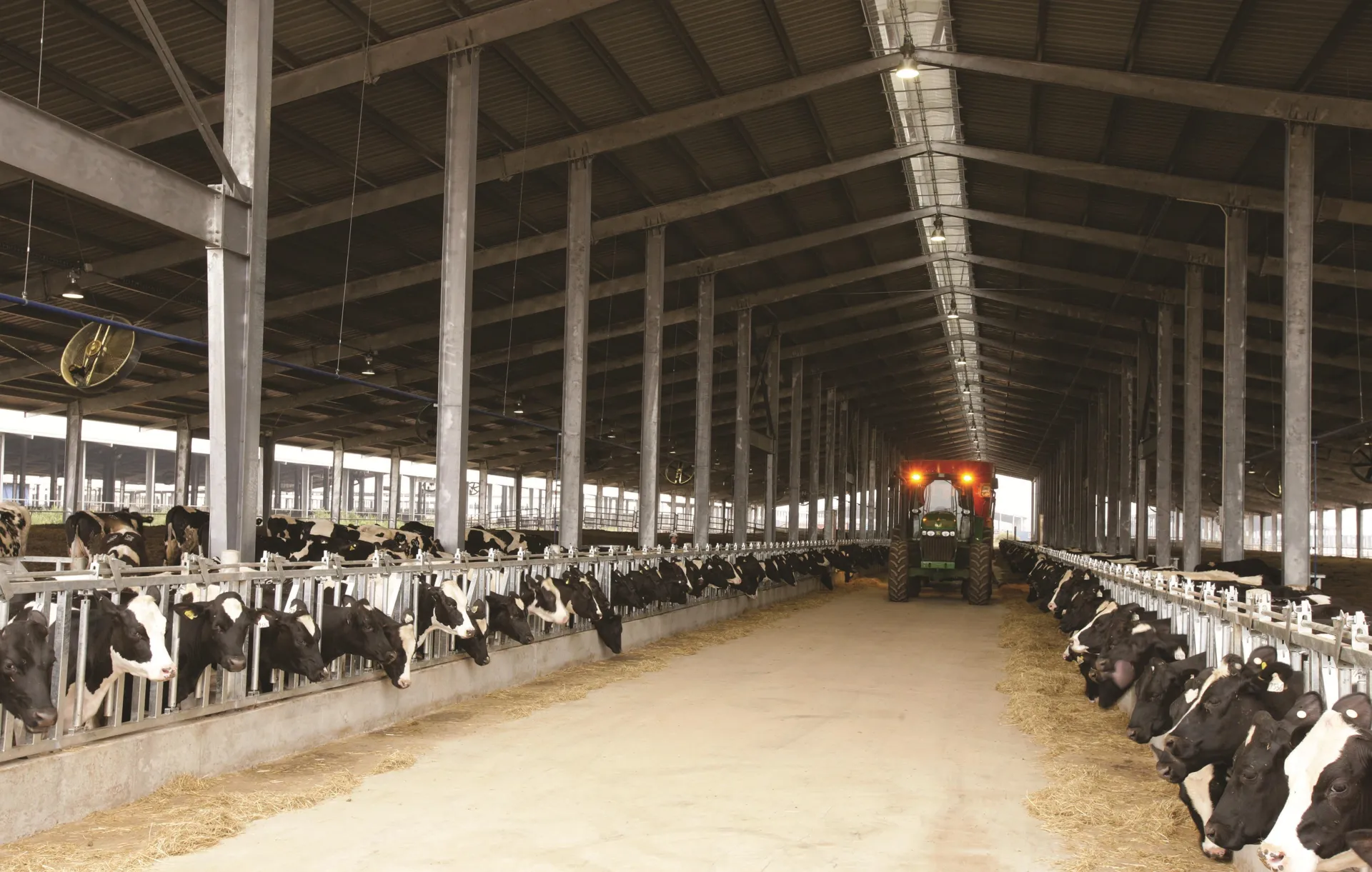 Chăm sóc sức khỏe đàn bò bằng công nghệ cao, thúc đẩy chăn nuôi phát thải thấp tại TH true MILK