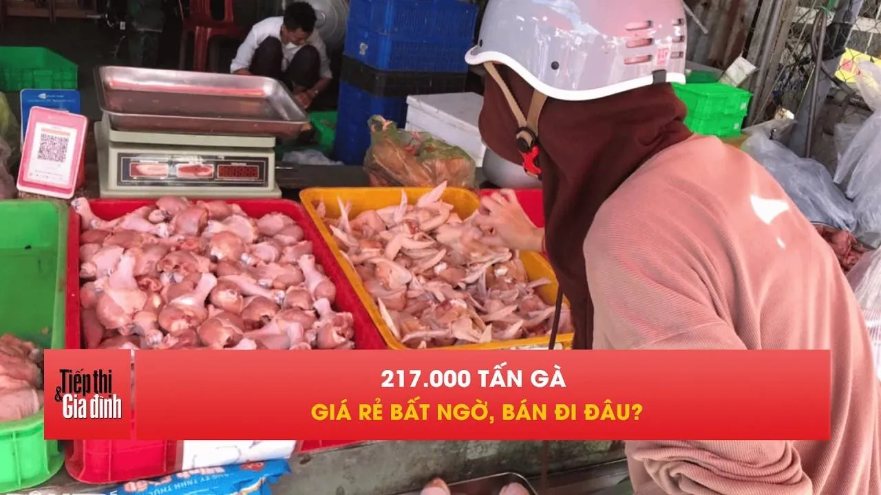 217.000 tấn gà giá rẻ nhập khẩu, người Việt đang ăn gì?