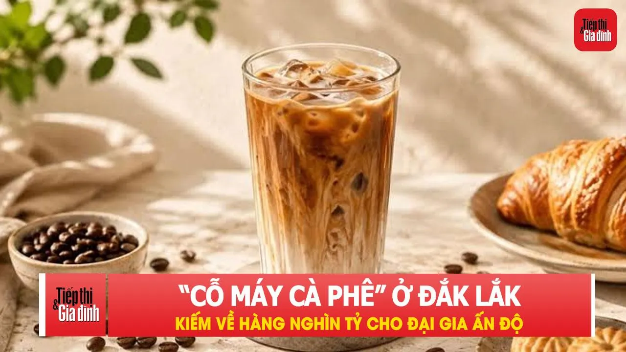 'Cỗ máy cà phê' kín tiếng ở Đắk Lắk kiếm về hàng nghìn tỷ cho đại gia Ấn Độ