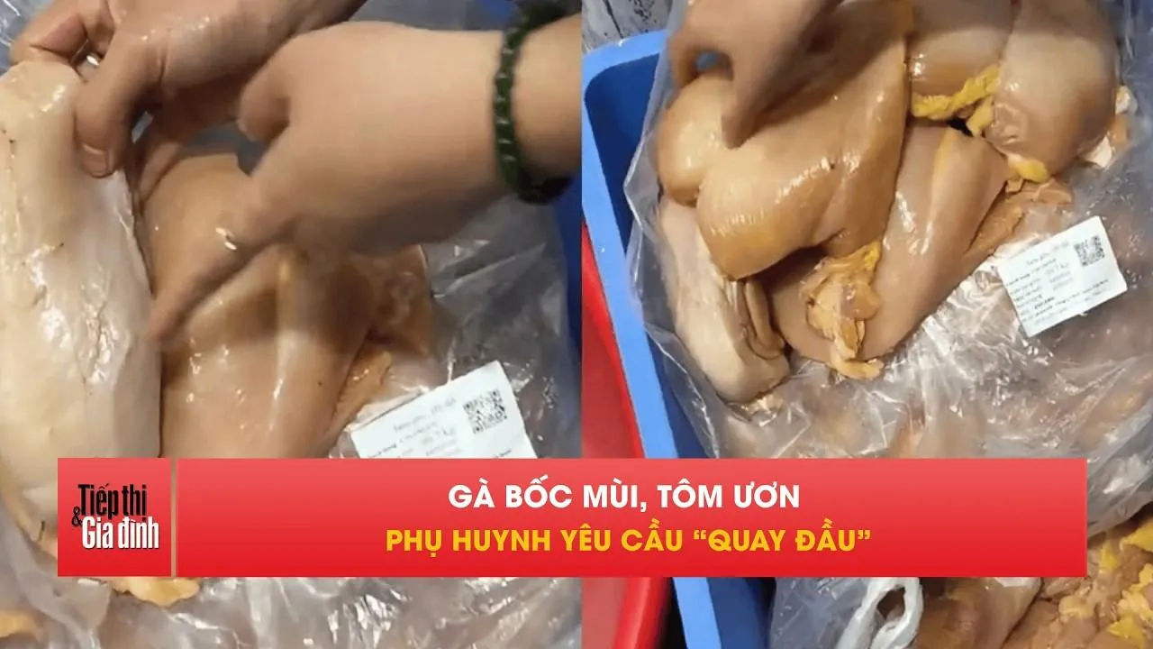 Phụ huynh phát hiện gà bốc mùi, tôm ươn trước giờ bán trú