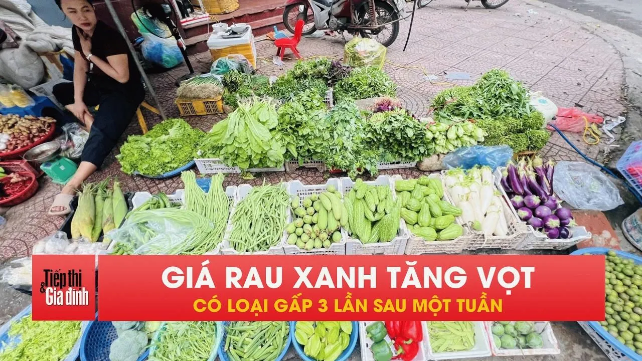 Giá rau xanh tăng vọt sau mưa, người Hà Nội thêm gánh nặng