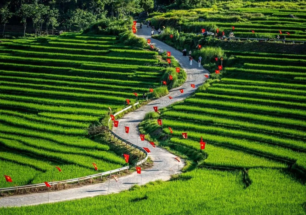 Cuối tuần muốn đổi gió tận hưởng không gian xanh, đây là 5 điểm đến gần Hà Nội tiết kiệm chi phí không nên bỏ qua
