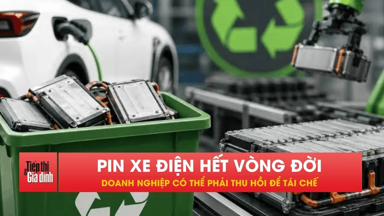 Từ 2029, doanh nghiệp bắt buộc thu hồi pin xe điện để tái chế?