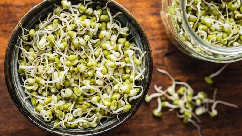 Đừng nghĩ tự trồng giá đỗ là 'sạch': 5 điều bạn cần đặc biệt lưu ý