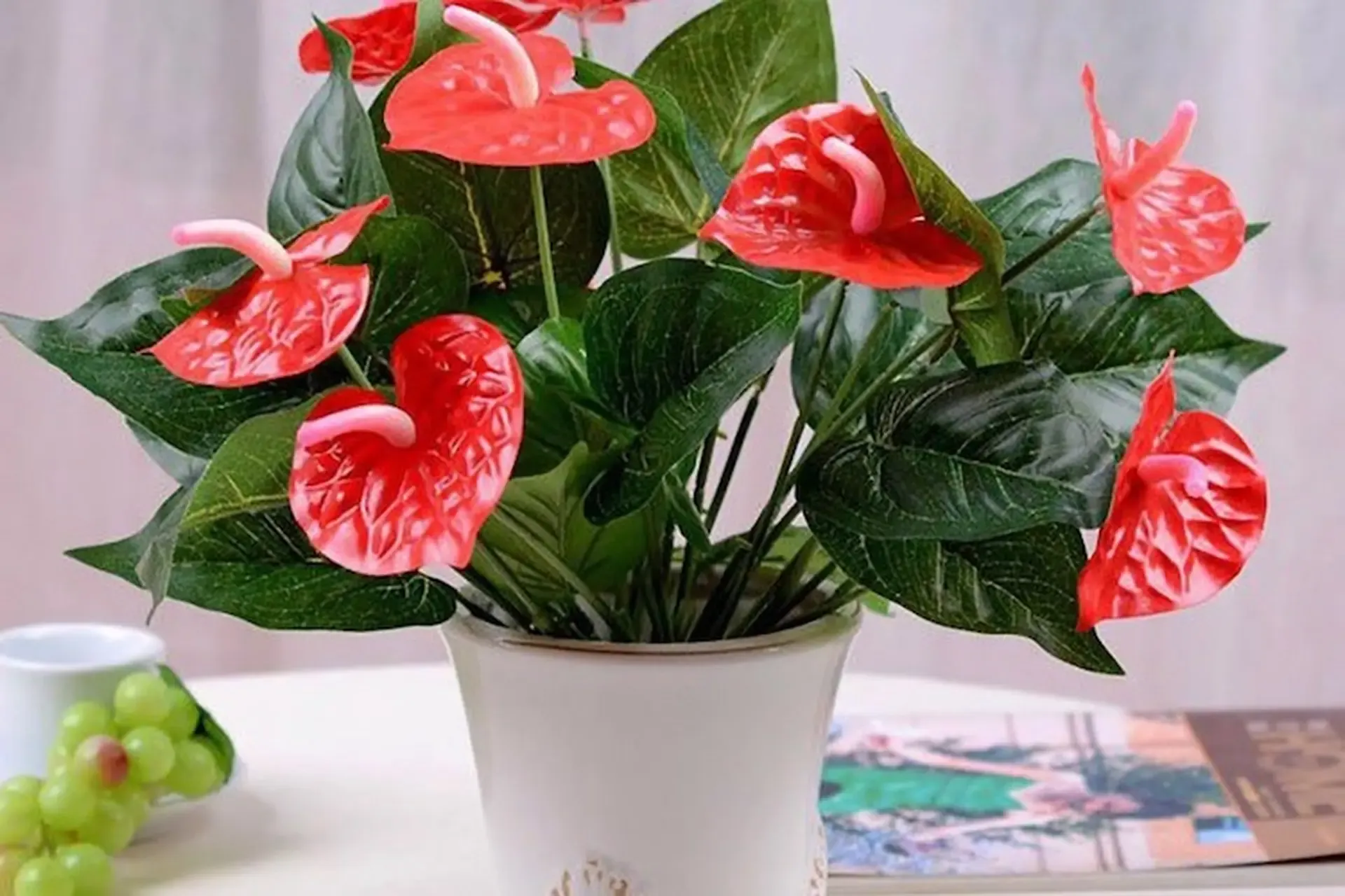 Dân văn phòng muốn góc làm việc tươi mát, đừng bỏ qua 4 loại cây xanh này