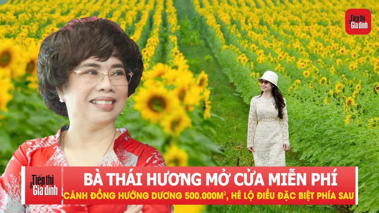 Bà Thái Hương mở cửa miễn phí cánh đồng hướng dương 500.000m², hé lộ điều đặc biệt phía sau