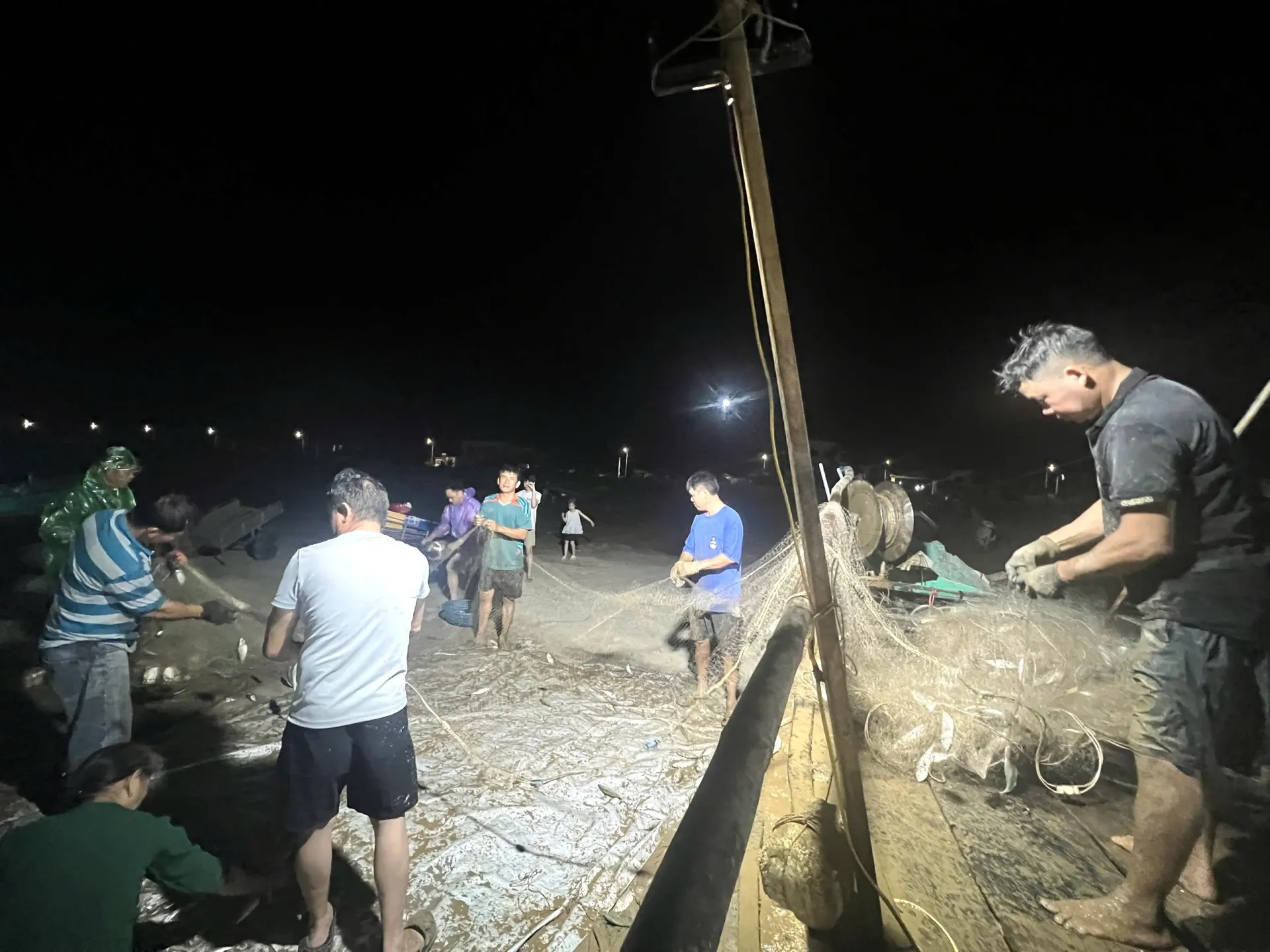 Ngư dân nhanh tay gỡ, tập kết và phân loại cá ngay tại bờ biển. Công việc diễn ra khẩn trương nhằm bảo đảm chất lượng hải sản, đồng thời giúp việc mua bán với người dân và thương lái được thuận lợi