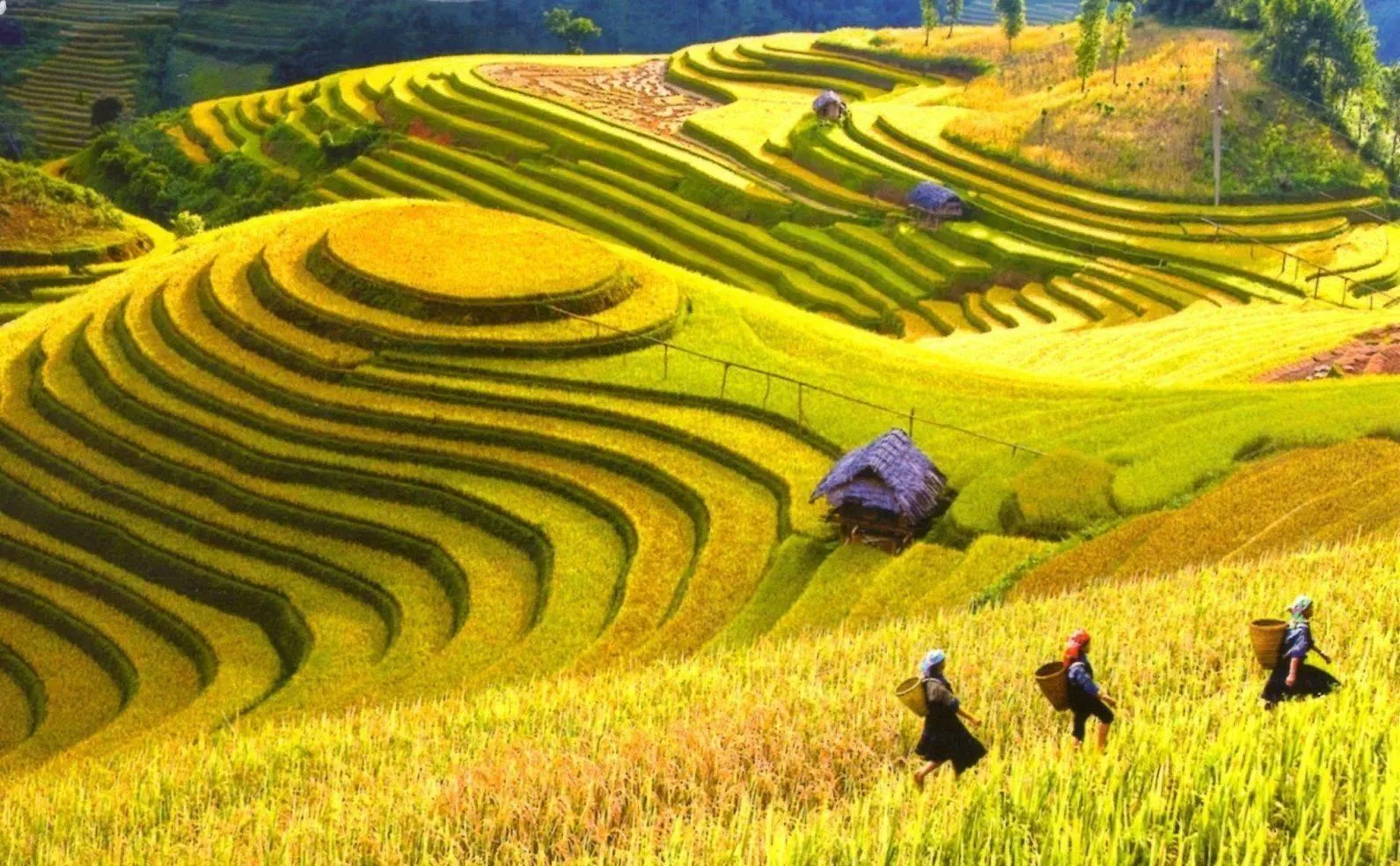 7 điểm đến ở Lai Châu đẹp mê vào mùa thu, vừa săn mây vừa check-in mùa vàng