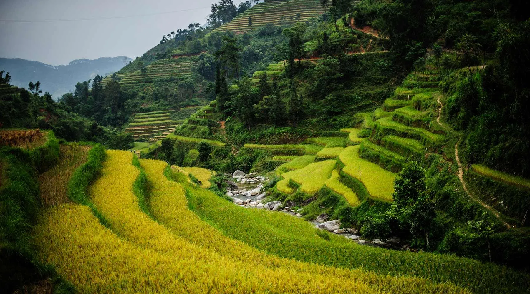 Cuối năm du lịch Tuyên Quang, 7 điểm đến khiến hội mê xê dịch chẳng muốn về