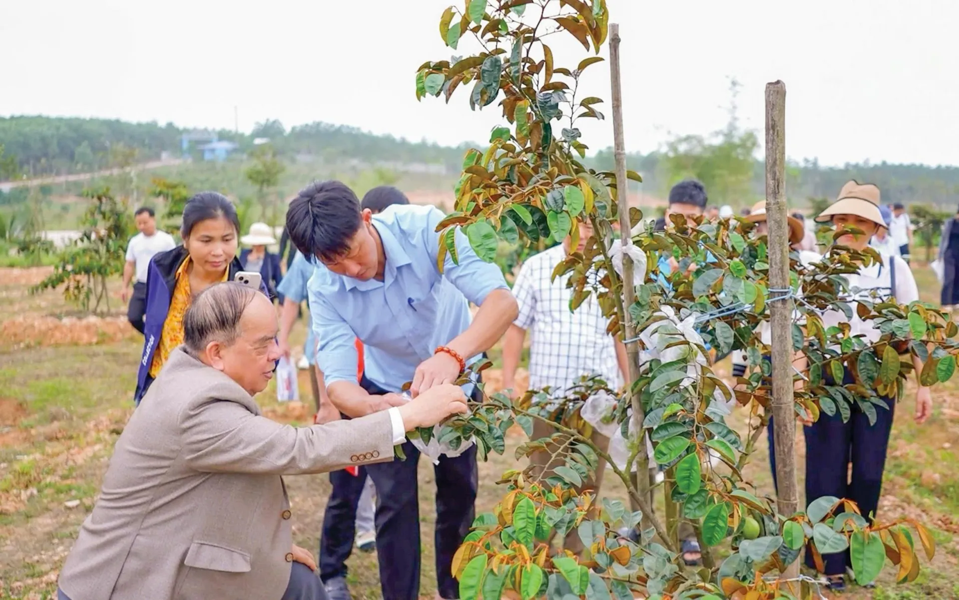 Tập đoàn Quế Lâm: Đổi mới sáng tạo, phát triển nông nghiệp hữu cơ tuần hoàn