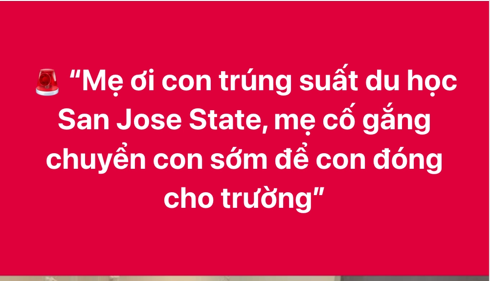 “Con trúng suất du học” – chiêu “bắt cóc online” khiến phụ huynh suýt mất tiền