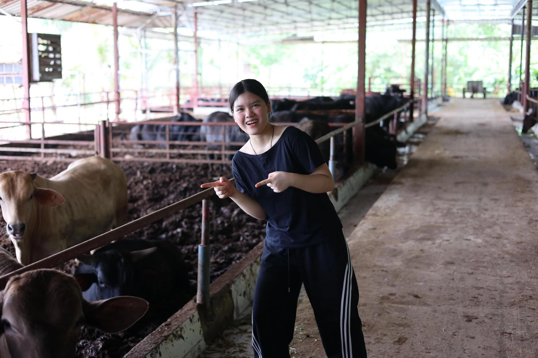 Nữ sinh Việt đưa tư duy hệ thống vào bài toán sinh kế của người nuôi bò