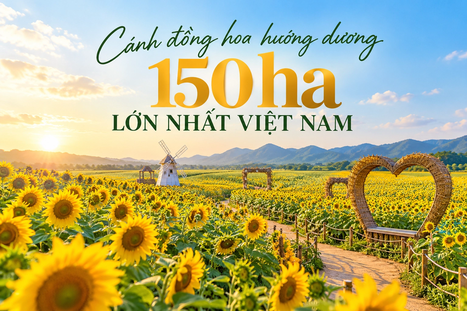Những điều cần biết khi tham quan cánh đồng hoa hướng dương 150 ha ở Nghệ An