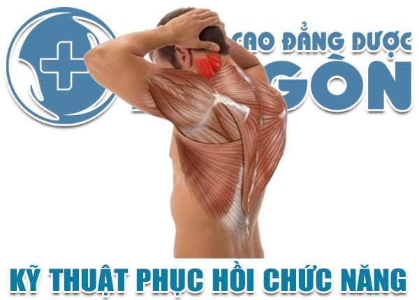 Kỹ thuật phục hồi chức năng là ngành học có cơ hội việc làm tốt