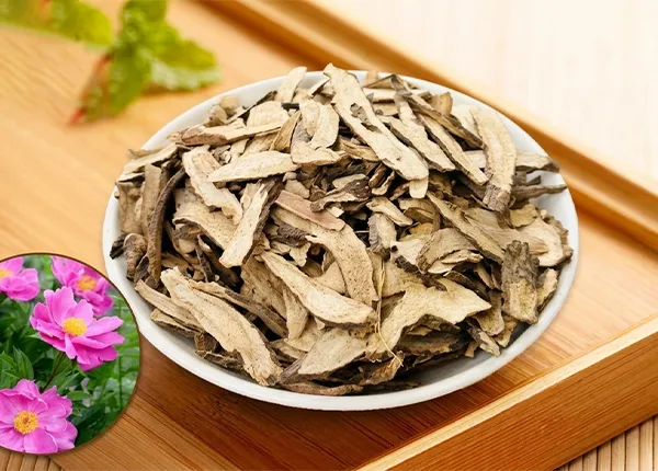 Đông y Xích thược giúp hỗ trợ hoạt huyết, giảm đau và thanh nhiệt